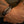 Load image into Gallery viewer, Skull Armband Leder          kupferfarben
